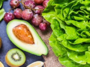 ����Ӫ���������� ����߳���ʳ����