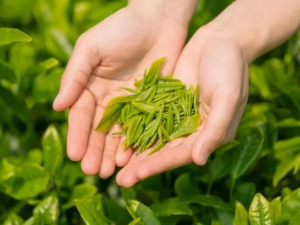 Ů�˳�ʲô�ɷ�ɹ ��Щʳ���з�ɹ��Ч