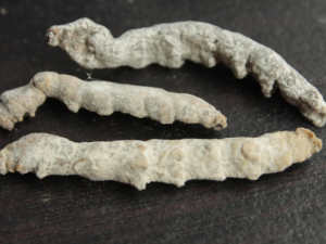 �ך��ϵĹ�Ч���� �ך������з������б