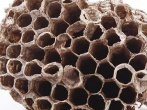 ¶�䷿�Ĺ�Ч���� ¶�䷿�η����ʹ