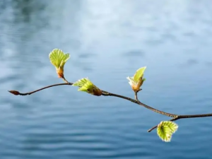 ����������֮�� ������������