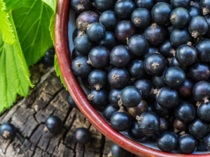 4�ֺ�ɫˮ������Ч��˥�� һ������������Щ��