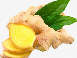 ��Խ�ʤ���� �Խ��ļ�������