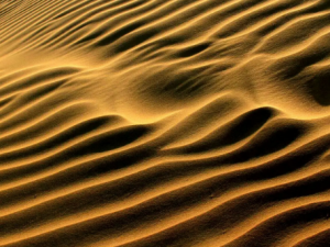 ��ɳ�Ĺ�Ч ��ɳ��С�����