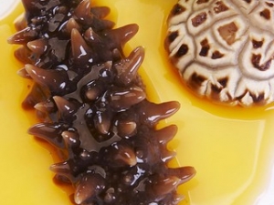 ���ε�Ӫ����ֵ