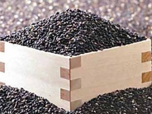 ���׵�Ӫ����ֵ