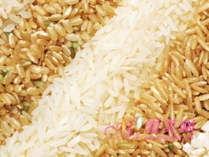 ����ʳ���³跢ѿ��  �����Ͷ���泦θ