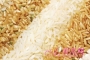 养生食疗新宠发芽米  热量低多吃益肠胃