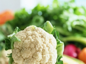 ����Ԥ������  11���߲˲�����