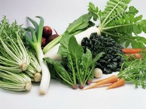 һ��������ڴ�  �ļ�ʳ���̲����ķ���