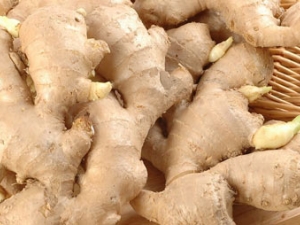 �������ֿ���  ������ô�Խ������潡��