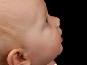 ĸ��  �̷�  ����  ����Ӥ��ʳ��Ӫ����ֵ��PK