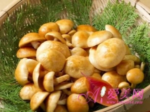 ��Ҫ������Թ�  9�ֳ���Ұ����Ӫ����ֵ��