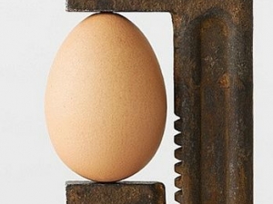 ����Ӫ����ֵ���ƴ  ����ʳ�ø�����