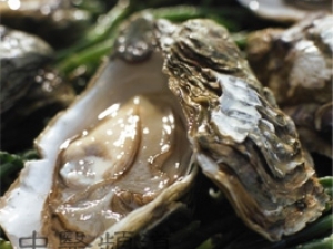 �㱻ƭ����5��ʳ�����׳����������