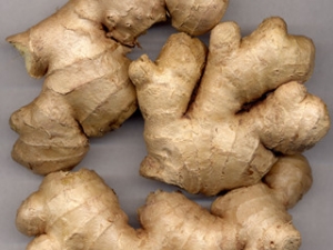 �ڷ�������������