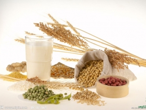 �ƶ����̶���Ӫ����ʳ�÷���