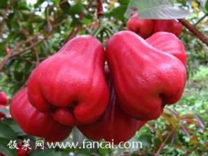 ������ʳ�ü�ֵ