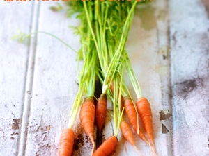 �����Ժ��ܲ���Ӫ��