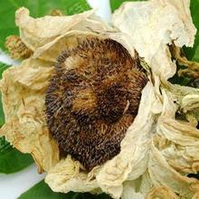 ѩ��������Щ��Ч������