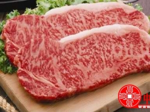 Ϊʲô������������