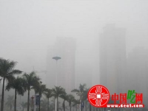 ���������Ԥ������