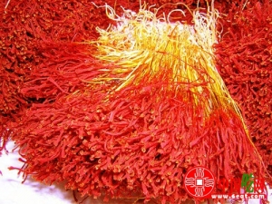 �غ컨�Ĺ�Ч������