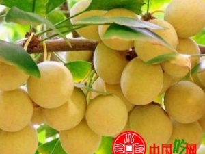 �׹��ĸ�����