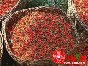 ��轵Ĺ�Ч�͸�����