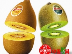 ⨺��ҵ�Ӫ����ֵ