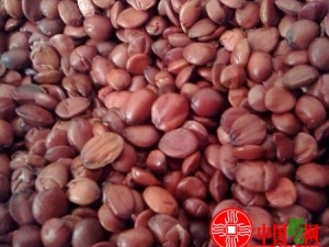 �����ʵĹ�Ч������