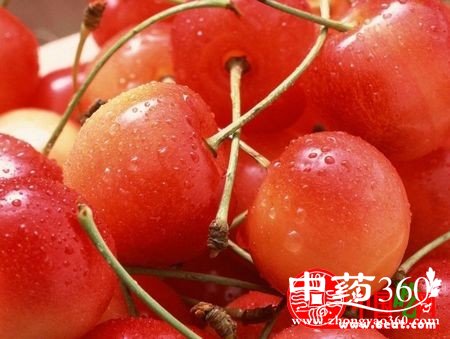 苹果的营养价值 苹果的营养成分