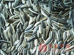 ���ӵ�Ӫ����ֵ������