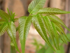 �㴻�˵�Ӫ����ֵ