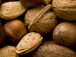 �����������Ӫ������