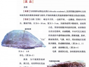 ��μ������ѵĹ�Ч�����ú�Ӫ����ֵ