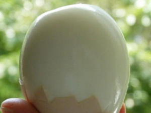 �����ǵ�ҩ�ü�ֵ�Ĺ�Ч�����ú�Ӫ����ֵ