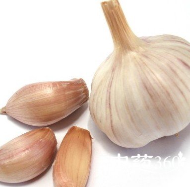 大蒜有助于杀菌和长寿