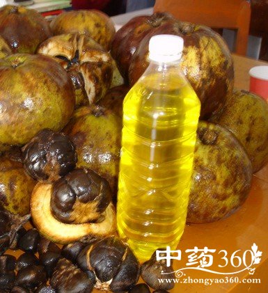 ���͵Ĺ�Ч������