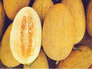 ���ܹϵĹ�Ч�����ú�Ӫ����ֵ