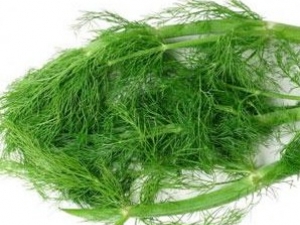 ����˵Ĺ�Ч�����ú�Ӫ����ֵ