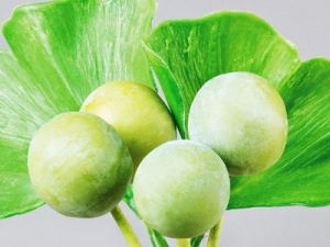 �����в�ҩ������Ȼ�����ļ���