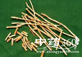 白茅根的药用价值与功效