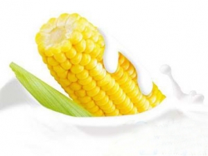 Ů�˳Դ���Ҳ���Է���