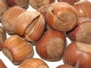 �����Ĺ�Ч������