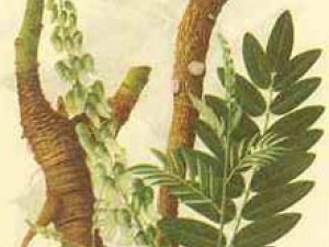 �����εγ����������淽