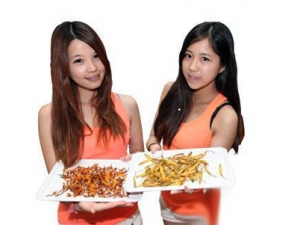 ���뻨�Ĺ�ЧӪ����ֵ��