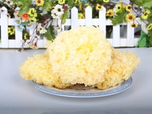 ��ľ����Ӫ����Ч