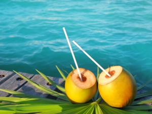 Ҭ�ӵ�ҩ�ü�ֵ��Ӫ����ֵ