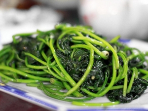 ����Ҷ�ӵ�Ӫ����ֵ�빦Ч